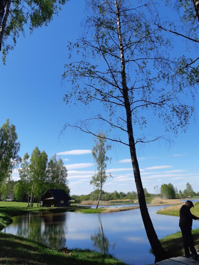 Vieversynė Duokiskis Eksteriør billede